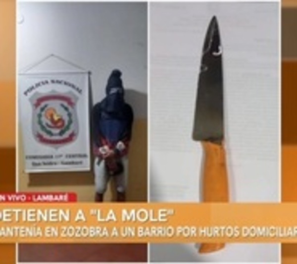 Capturan a "La Mole" en Lambaré - Paraguay.com