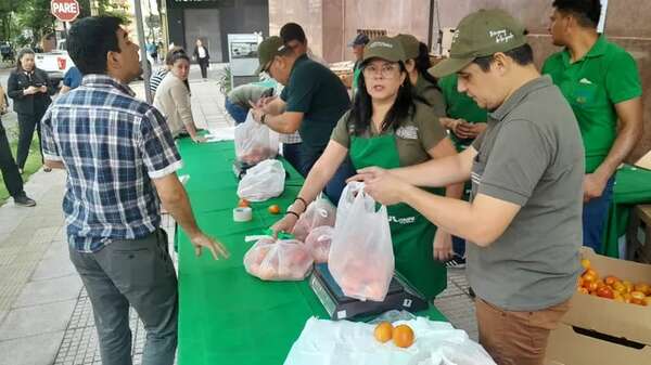 Los cuatro puntos de venta de tomates a solo G. 9.000 el kilo - Nacionales - ABC Color