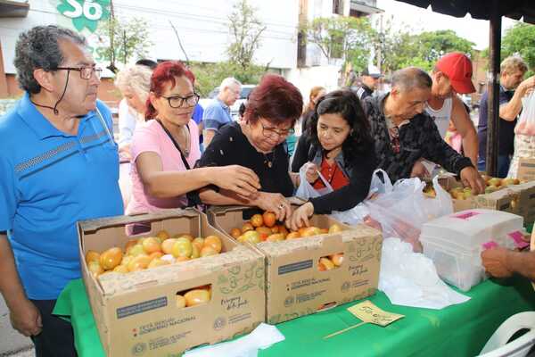 Ferias simultáneas de tomate se realizan en cuatro puntos - trece