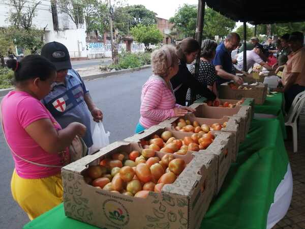 Ferias simultáneas de tomate serán hasta agotar stock - Unicanal