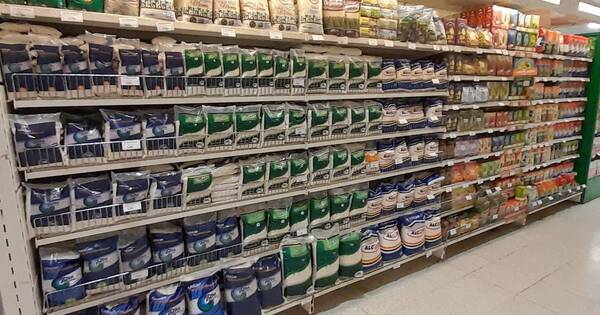 La Nación / Comercio y manufacturas contribuyeron al aumento de las ventas en septiembre