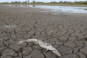 Sequía en el Chaco es un problema sin solución hace años - Portal Digital Cáritas Universidad Católica