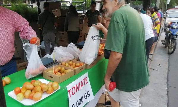 Gran concurrencia en feria con cuatro puntos de venta, ¡Tomate a G. 9.000 el kilo!