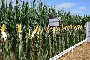 Los Insumos Biológicos en el manejo integrado de plagas y enfermedades en cultivos agrícolas garantizan la sostenibilidad