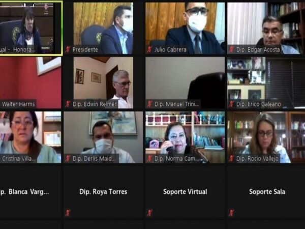 Parlamentarios promueven blindaje para convertirse en los intocables