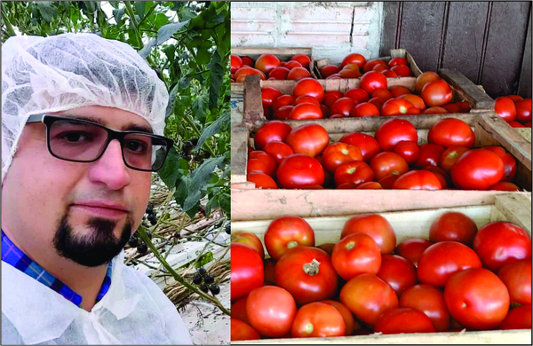 Productor cataloga de “atípica” la suba del precio del tomate y culpa a factores climáticos