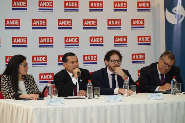 Llevar la electricidad a lugares sin acceso requerirá de USD 218 millones, según plan de la ANDE - MarketData