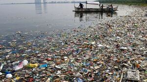 Los microplásticos contaminan todas las especies marinas en las desembocaduras de los ríos