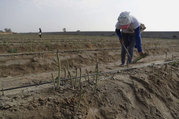 La producción nacional de Perú cayó 1,29 % en septiembre y 0,63 % en el acumulado del año - MarketData