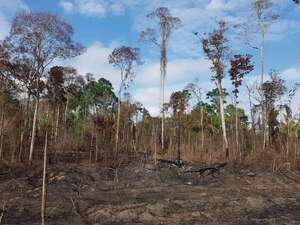 Cambio climático: comitiva del MADES viaja a Dubái para presentar informe sobre emisión de CO2 - Nacionales - ABC Color