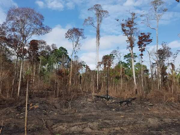 Cambio climático: comitiva del MADES viaja a Dubái para presentar informe sobre emisión de CO2 - Nacionales - ABC Color