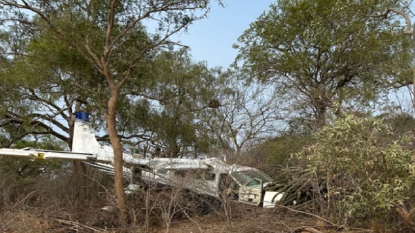 Aeronave estrelló contra un árbol en el Chaco - Noticias Paraguay