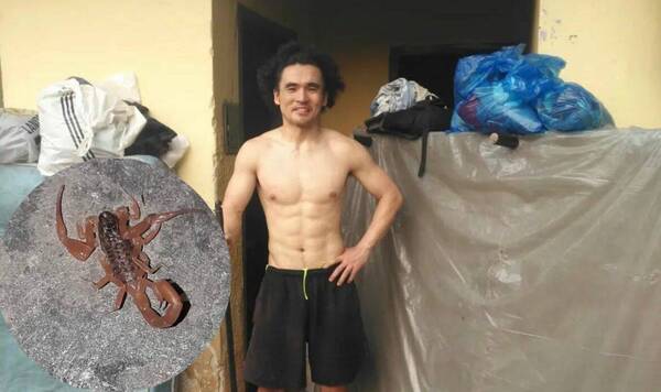 Naohiro encontró alacrán en su pieza y sarambí armó del susto