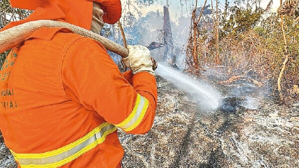 Incendio descontrolado causa estragos en Pantanal