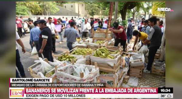 Sector bananero también reclama problemas, pero por falta de pago desde Argentina - Megacadena - Diario Digital