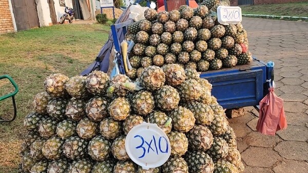 Productores de Horqueta exportarán piñas en Argentina, Uruguay y Brasil