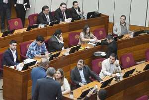 PGN 2024: Diputados eliminó el aporte adicional para partidos políticos - Economía - ABC Color