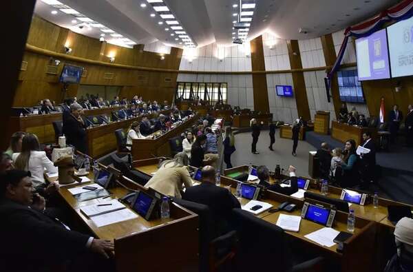 Ampliación para cubrir salarios de concejales “marginados” en Concepción - Política - ABC Color