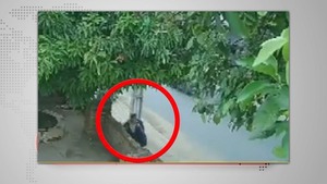 Matan a dueña de una despensa en Zeballos Cué | 1000 Noticias