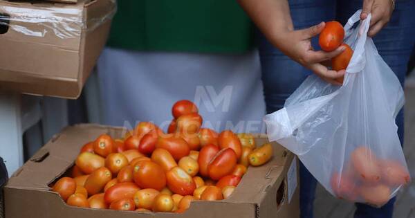 La Nación / Productores demuestran que hay tomate en el país