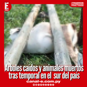 Arboles caídos y animales muertos tras temporal en el sur del país