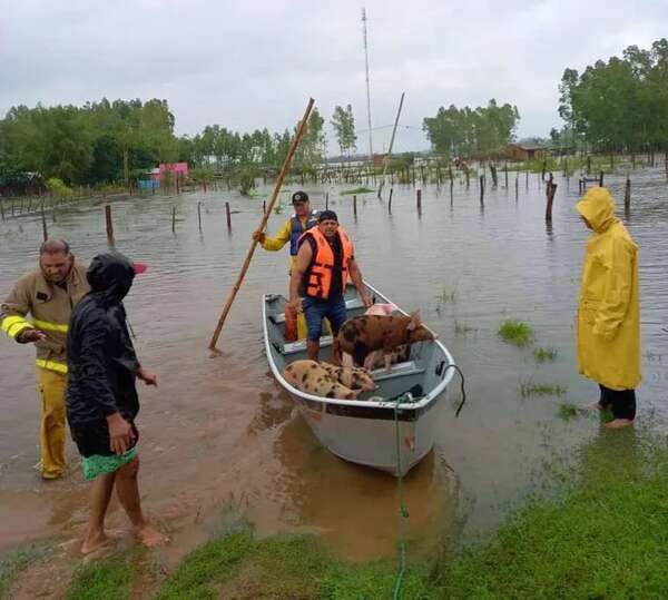 Vuelven a evacuar a familias de Capellán Cardozo tras nueva crecida del Tebicuarymí - Nacionales - ABC Color