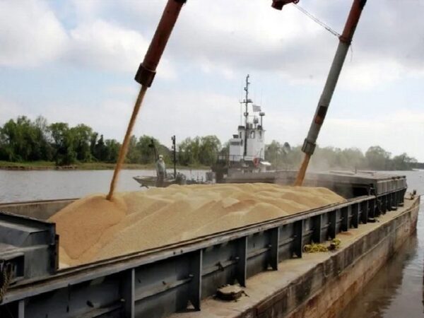 Acelerada exportación de soja hace que ya quede poco stock a enviar