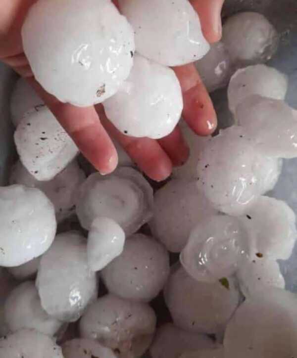 COE asiste a familias afectadas por el temporal