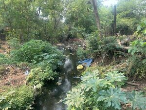 Vecinos denuncian contaminación crítica en un arroyo