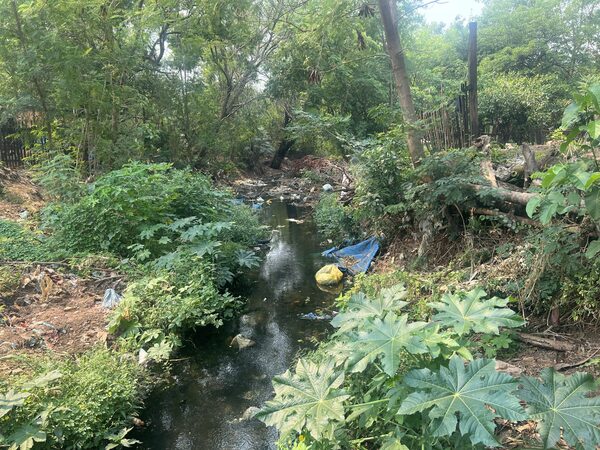 Vecinos denuncian contaminación crítica en un arroyo