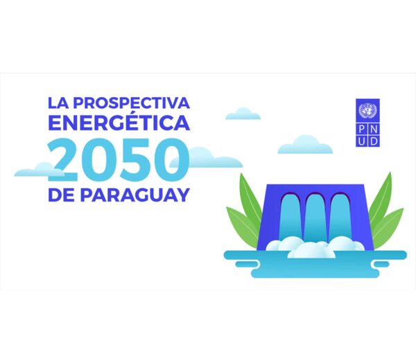 Informe sobre los desafíos energéticos del Paraguay fue lanzado de forma virtual