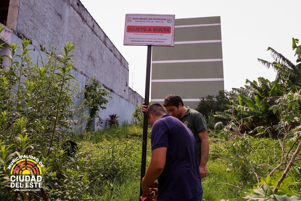 Ante inminente epidemia del dengue instan a dueños de terrenos baldíos a realizar limpiezas - ADN Digital