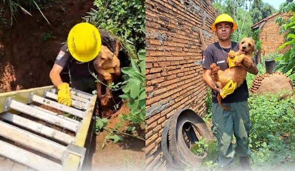 Rescataron a perrito desde el fondo de un pozo profundo