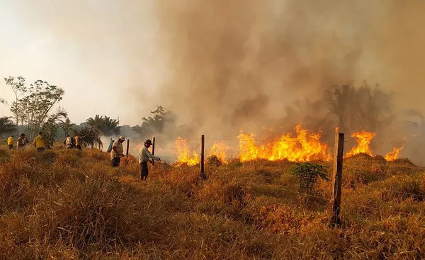 Alerta en Bolivia por los "incontrolables" incendios forestales y la ola de calor con vientos fuertes - Megacadena - Diario Digital