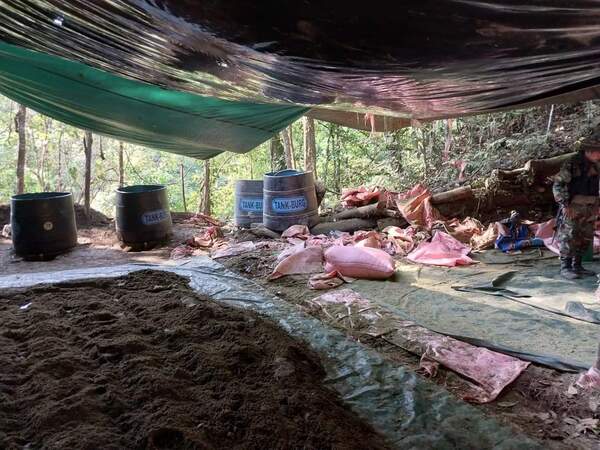 Destruyen 23 fábricas móviles de pasta base de cocaína en Bolivia