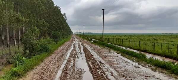 Camino de todo tiempo, rubro para salud y educación, reclaman en asentamiento de Santa Rosa, Misiones - Nacionales - ABC Color