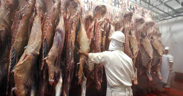 La Nación / Se podrá exportar a EE. UU. desde el 15 de diciembre