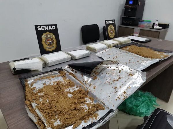 Can frustró envío de paquetes cocaína a España