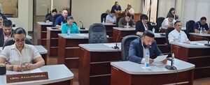 Concejales aprueban 10 licitaciones en primera fuerte inversión física en la era “Landy” Torres – Diario TNPRESS