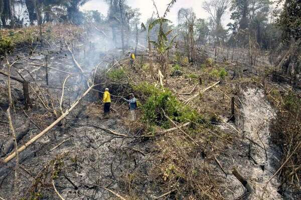 Bolivia arresta a unas 50 personas por provocar incendios forestales - Mundo - ABC Color