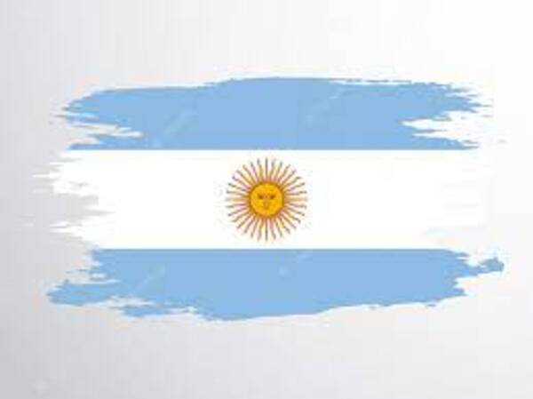 Argentina ante el espejo de su realidad. - El Independiente