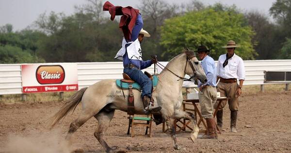 La Nación / Concurso criollo: nivel de preparación y morfología de caballos es altamente valorado