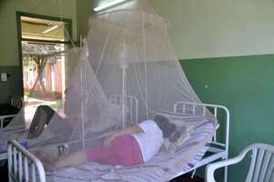 Dengue: casos se duplican y afectan principalmente a niños, alerta Salud Pública - Nacionales - ABC Color