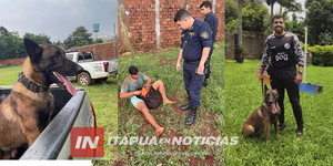 EL PERRO “CIRO” ATRAPÓ A UN LADRÓN Y SE QUEDÓ HACIENDO GUARDIA HASTA QUE LA POLICÍA LLEGÓ - Itapúa Noticias