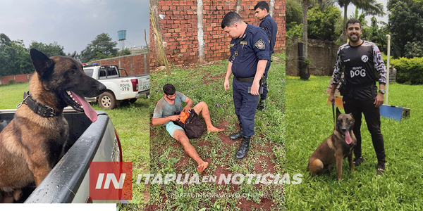 EL PERRO “CIRO” ATRAPÓ A UN LADRÓN Y SE QUEDÓ HACIENDO GUARDIA HASTA QUE LA POLICÍA LLEGÓ - Itapúa Noticias