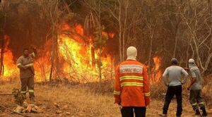 Diario HOY | Incendios se agravan en el Pantanal brasileño, mayor humedal del planeta