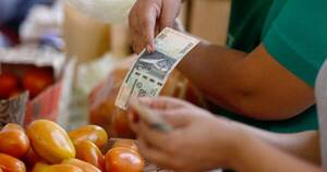 La Nación / MAG buscará ofertar 15.000 kilos de tomates en ferias de la próxima semana