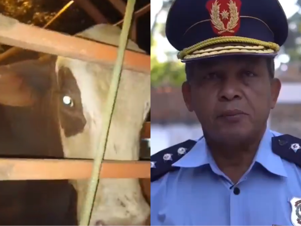 (VIDEO). Enrique Riera anunció la destitución de un alto jefe policial por abigeato