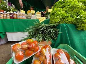 Tomate: especulación es inevitable por la escasez, afirman - Nacionales - ABC Color