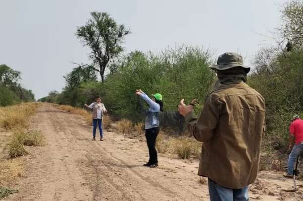 Gripe aviar: Regresan aves migratorias y refuerzan la vigilancia - Nacionales - ABC Color